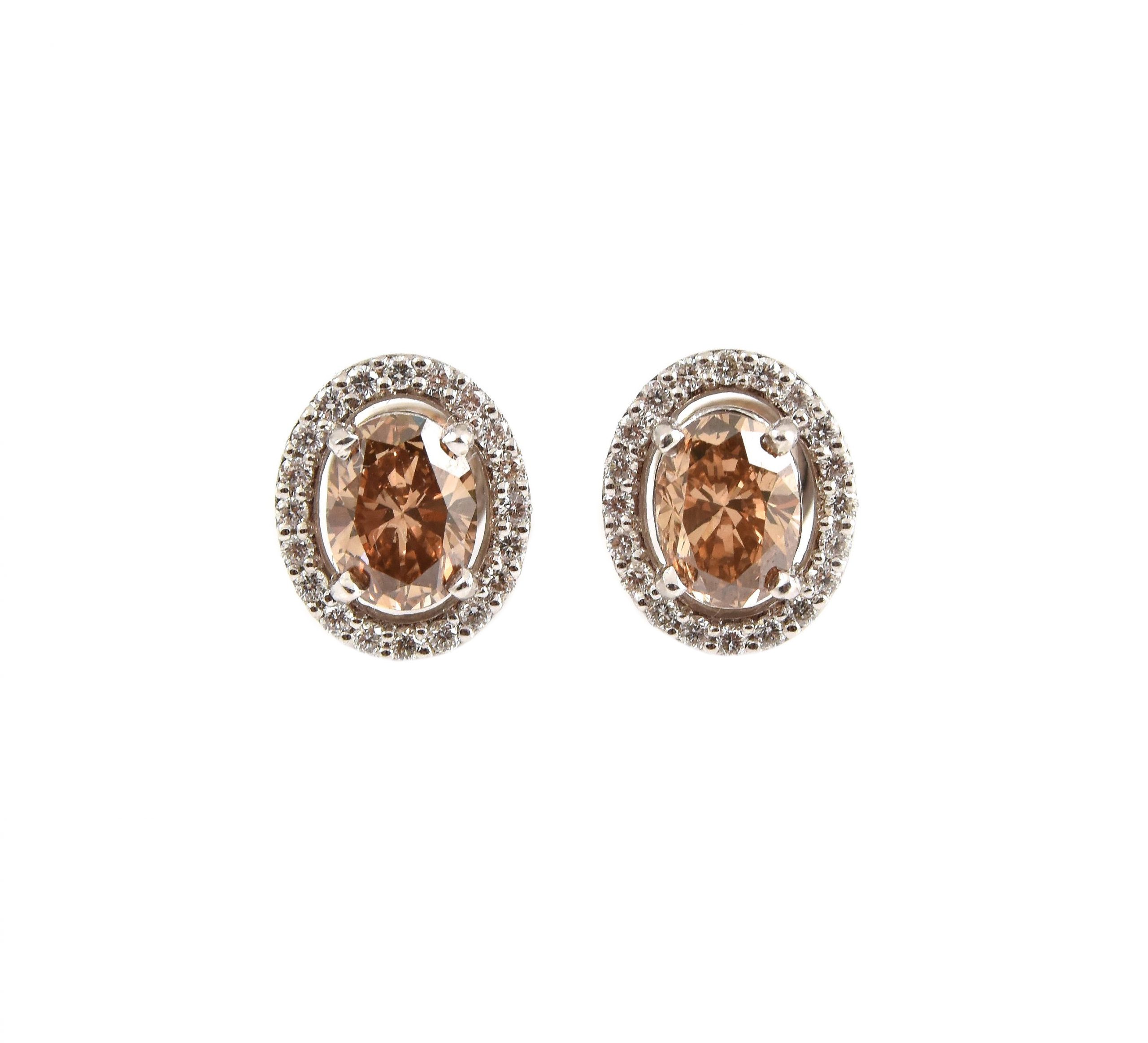 Champagne And Diamond Halo Stud Earrings | B22663 • Diamonds & Pearls Perth